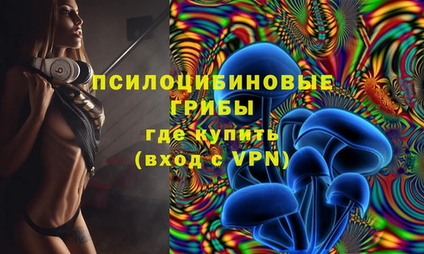 Альфа ПВП Алексин