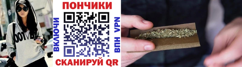 Конопля планчик Кирсанов